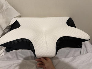 61flTnpHdwL._SY500_.jpg